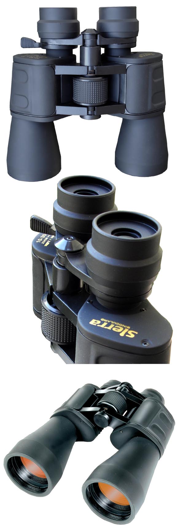 Bin�culo Sierra E3 10-30x50 Futura explorer